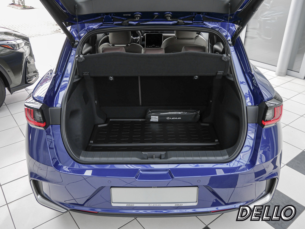 Fahrzeugansicht LEXUS LBX Elegant - Bild 7