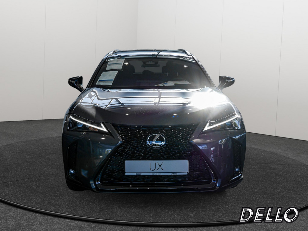 Fahrzeugansicht LEXUS UX 300h F-Sport Design - Bild 12