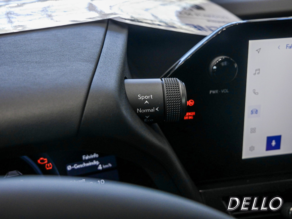 Fahrzeugansicht LEXUS UX 300h F-Sport Design - Bild 21