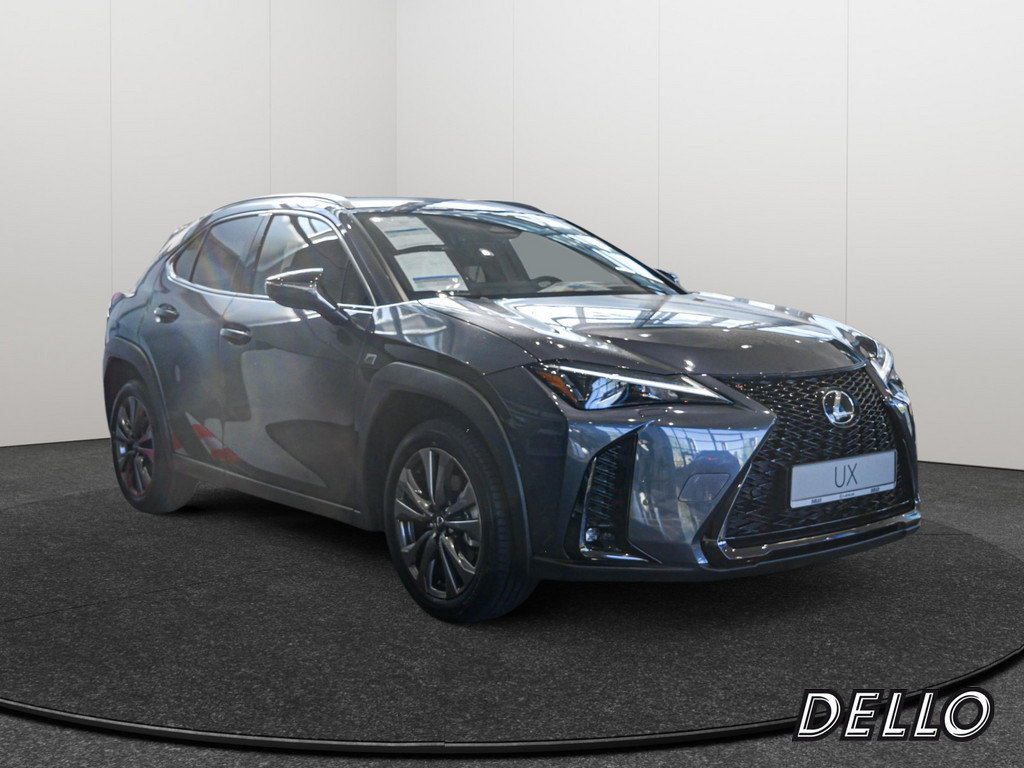 Fahrzeugansicht LEXUS UX 300h F-Sport Design - Bild 23