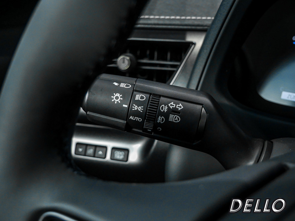 Fahrzeugansicht LEXUS UX 300h F-Sport Design - Bild 24