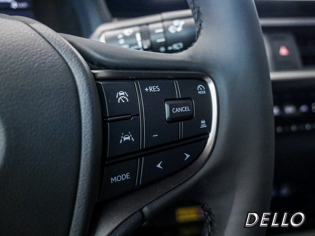 Fahrzeugansicht LEXUS UX 300h F-Sport Design - Bild 25