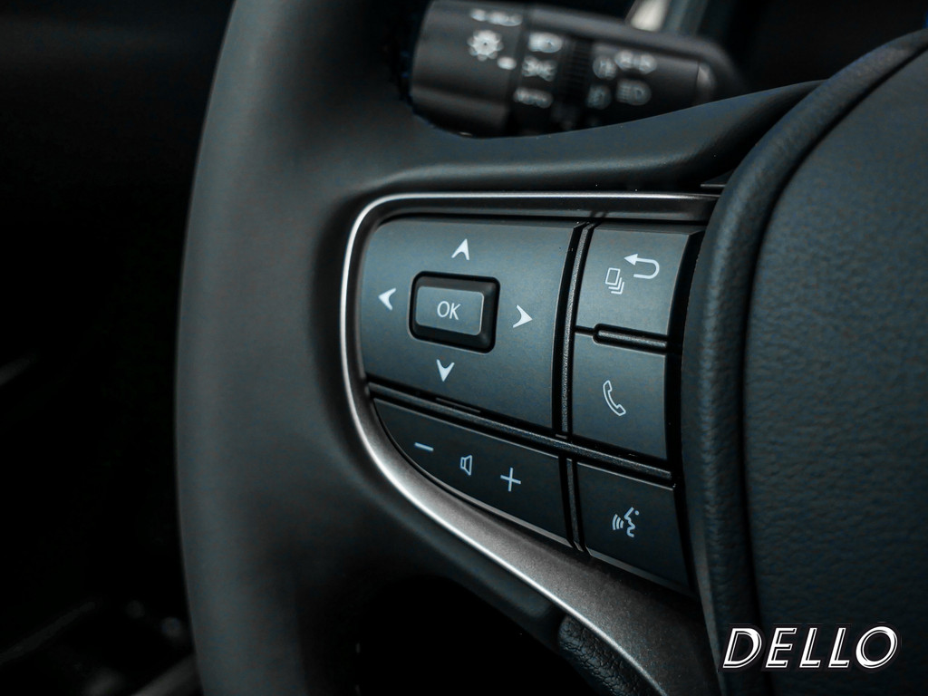 Fahrzeugansicht LEXUS UX 300h F-Sport Design - Bild 26