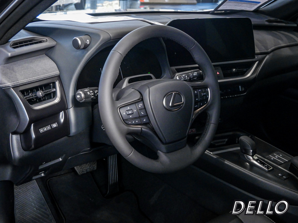 Fahrzeugansicht LEXUS UX 300h F-Sport Design - Bild 28