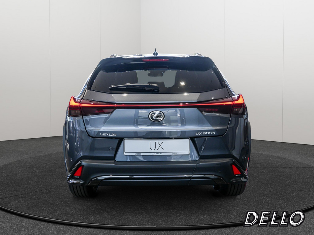 Fahrzeugansicht LEXUS UX 300h F-Sport Design - Bild 33