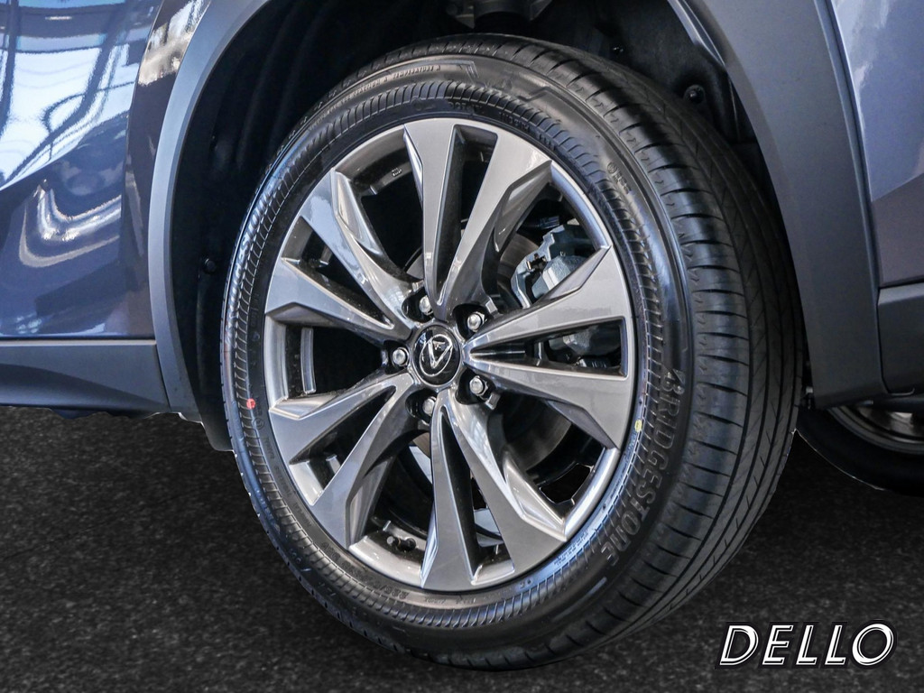 Fahrzeugansicht LEXUS UX 300h F-Sport Design - Bild 35