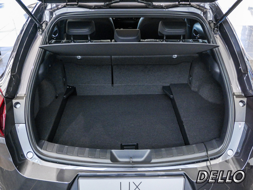 Fahrzeugansicht LEXUS UX 300h F-Sport Design - Bild 36