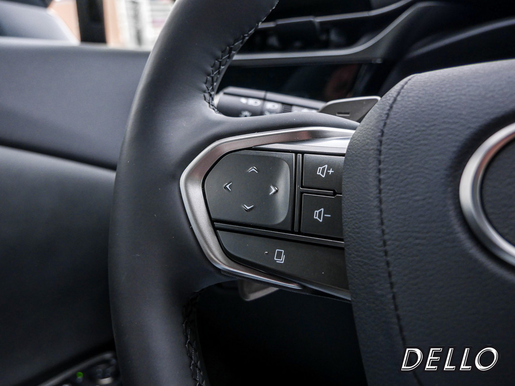 Fahrzeugansicht LEXUS RZ 450e Launch Ed. - Bild 31
