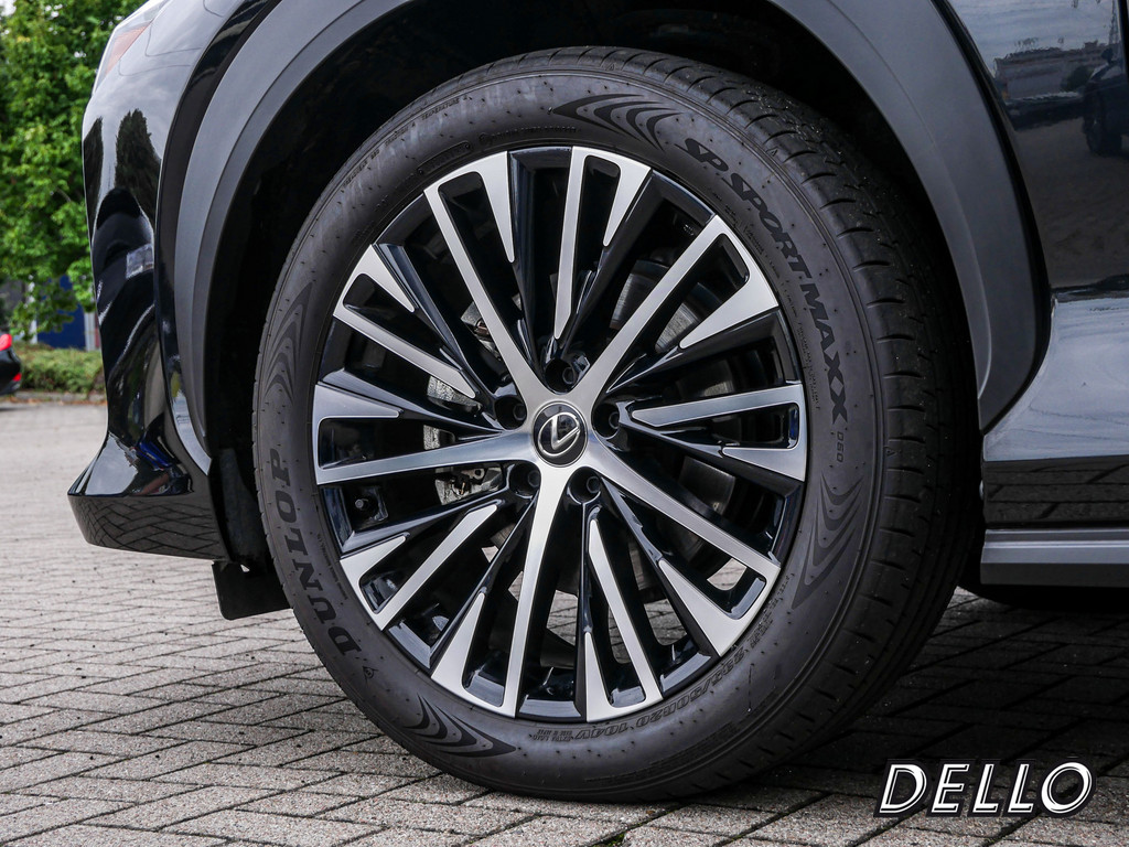 Fahrzeugansicht LEXUS RZ 450e Launch Ed. - Bild 42
