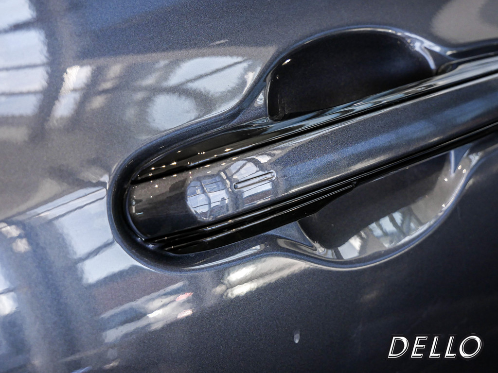 Fahrzeugansicht LEXUS RZ 300e Executive - Bild 11