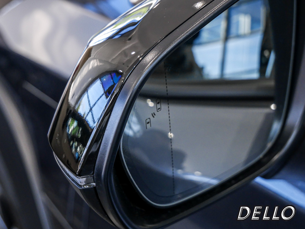 Fahrzeugansicht LEXUS RZ 300e Executive - Bild 13
