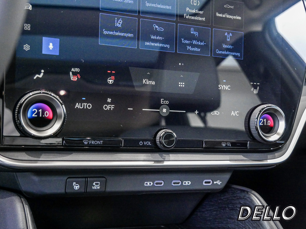Fahrzeugansicht LEXUS RZ 300e Executive - Bild 19