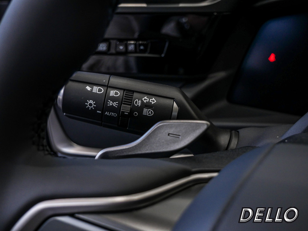 Fahrzeugansicht LEXUS RZ 300e Executive - Bild 27
