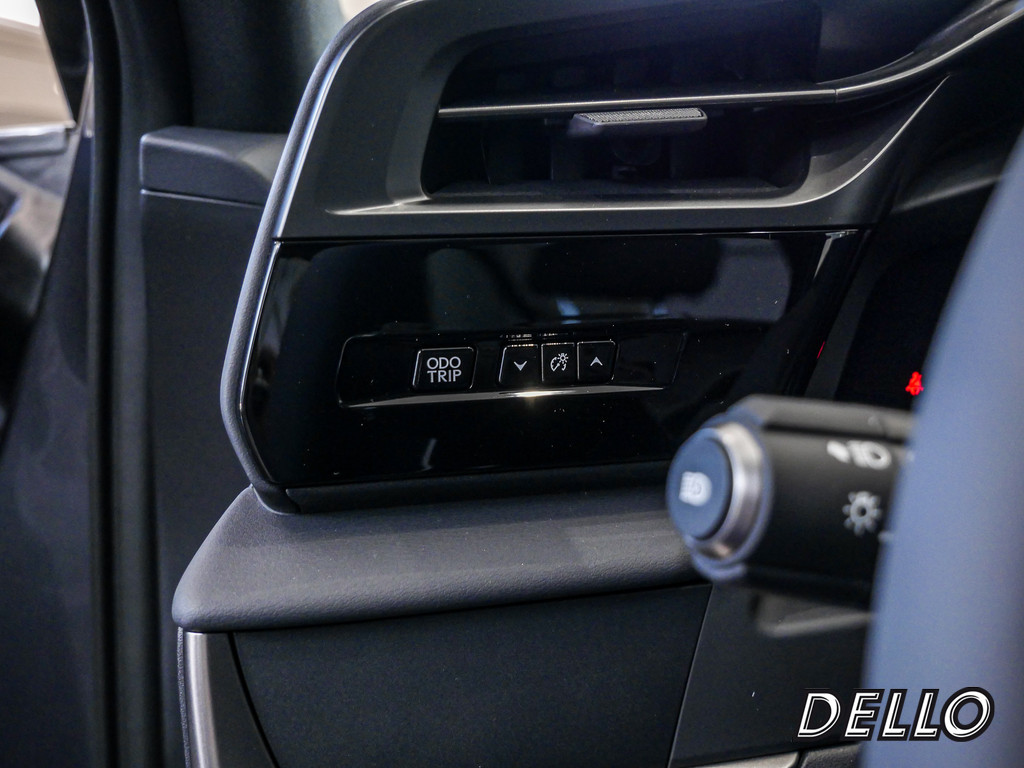 Fahrzeugansicht LEXUS RZ 300e Executive - Bild 31