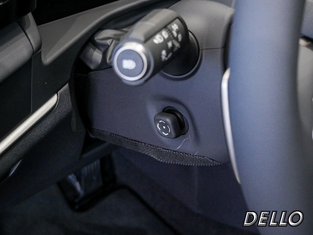 Fahrzeugansicht LEXUS RZ 300e Executive - Bild 37