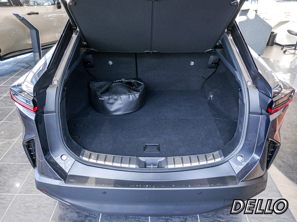 Fahrzeugansicht LEXUS RZ 300e Executive - Bild 41
