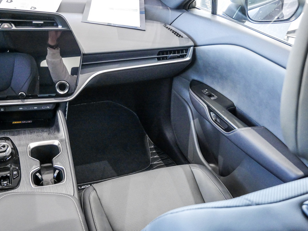 Fahrzeugansicht LEXUS RZ 300e Executive - Bild 8