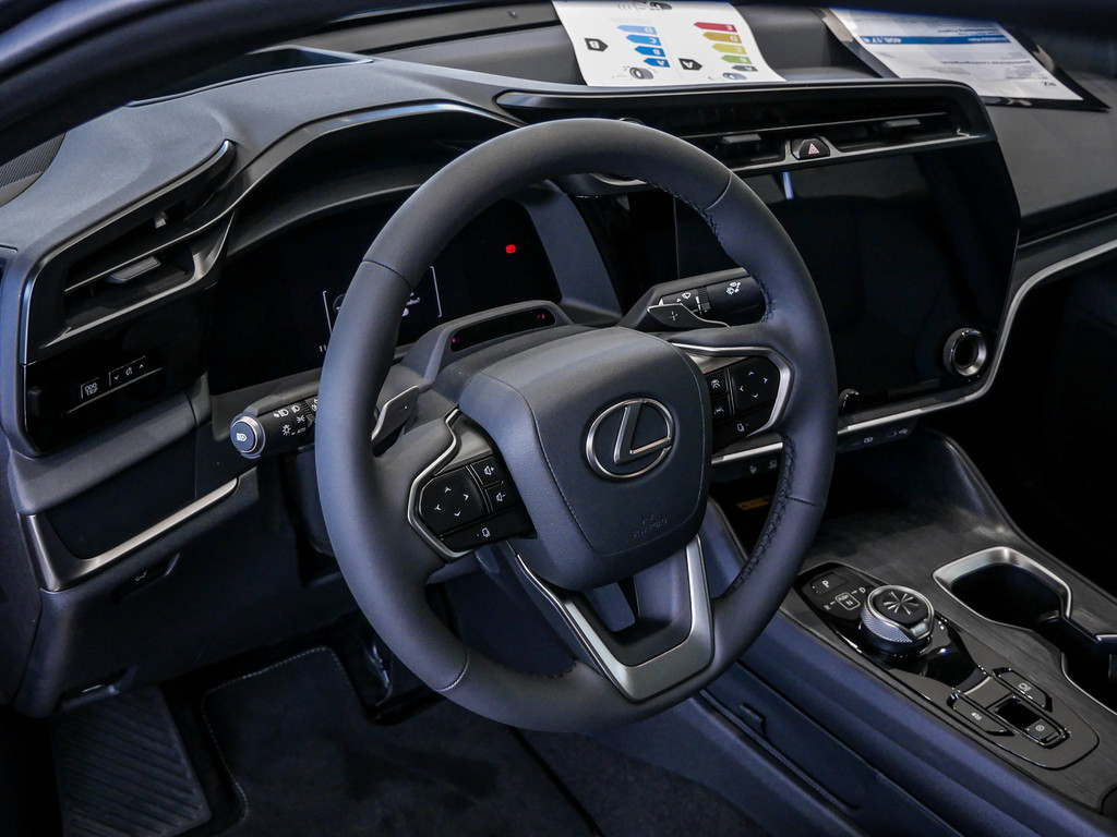 Fahrzeugansicht LEXUS RZ 300e Executive - Bild 32