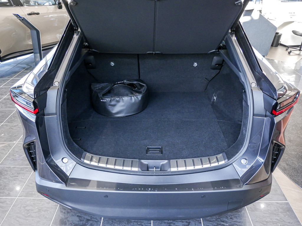 Fahrzeugansicht LEXUS RZ 300e Executive - Bild 41