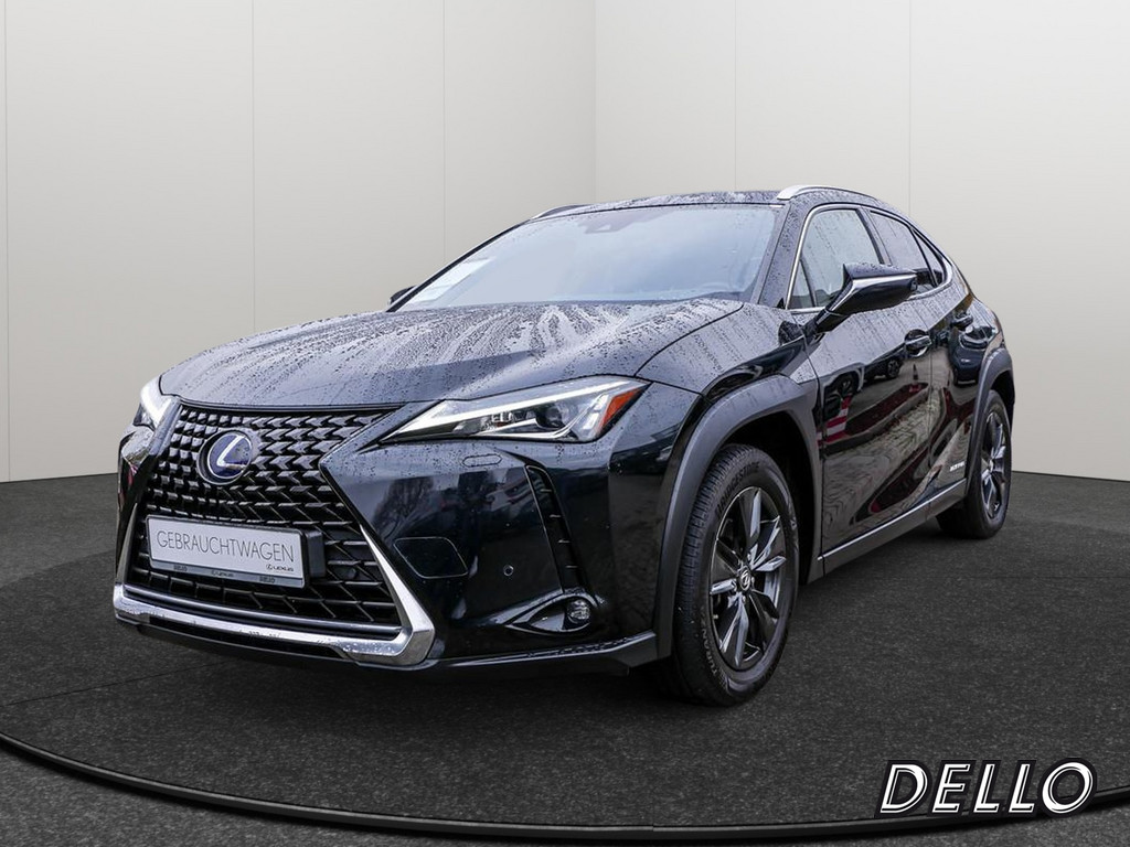 LEXUS UX 250h Amazing