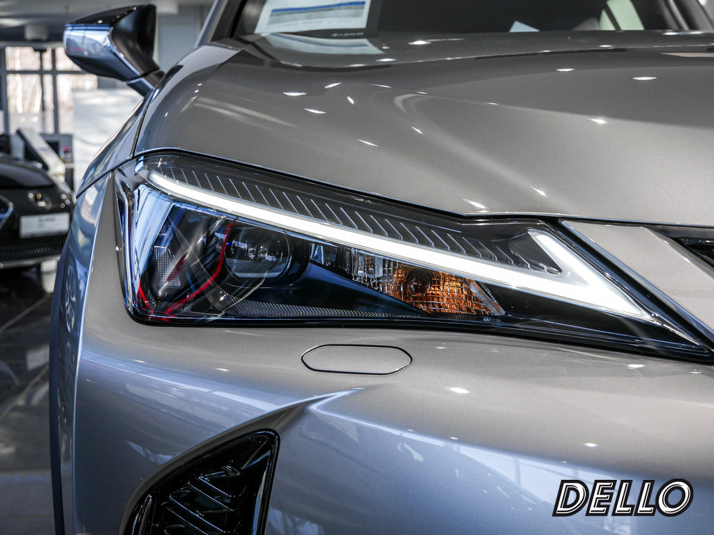 Fahrzeugansicht LEXUS UX 300h F Sport Des. - Bild 30