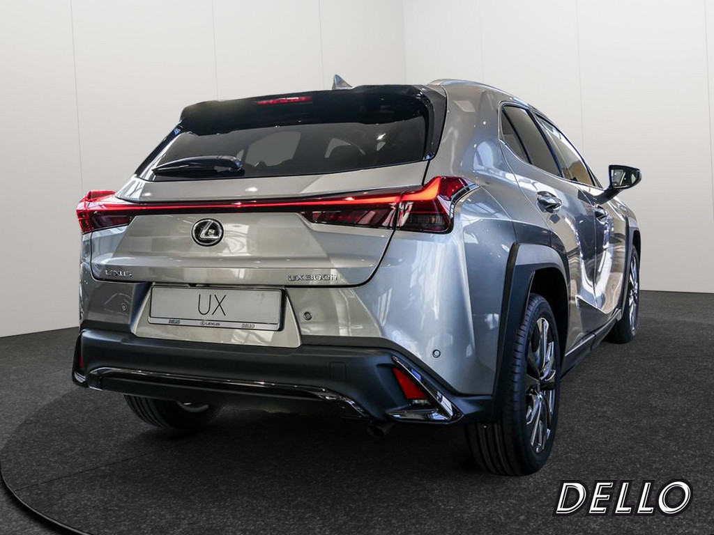 Fahrzeugansicht LEXUS UX 300h F Sport Des. - Bild 32
