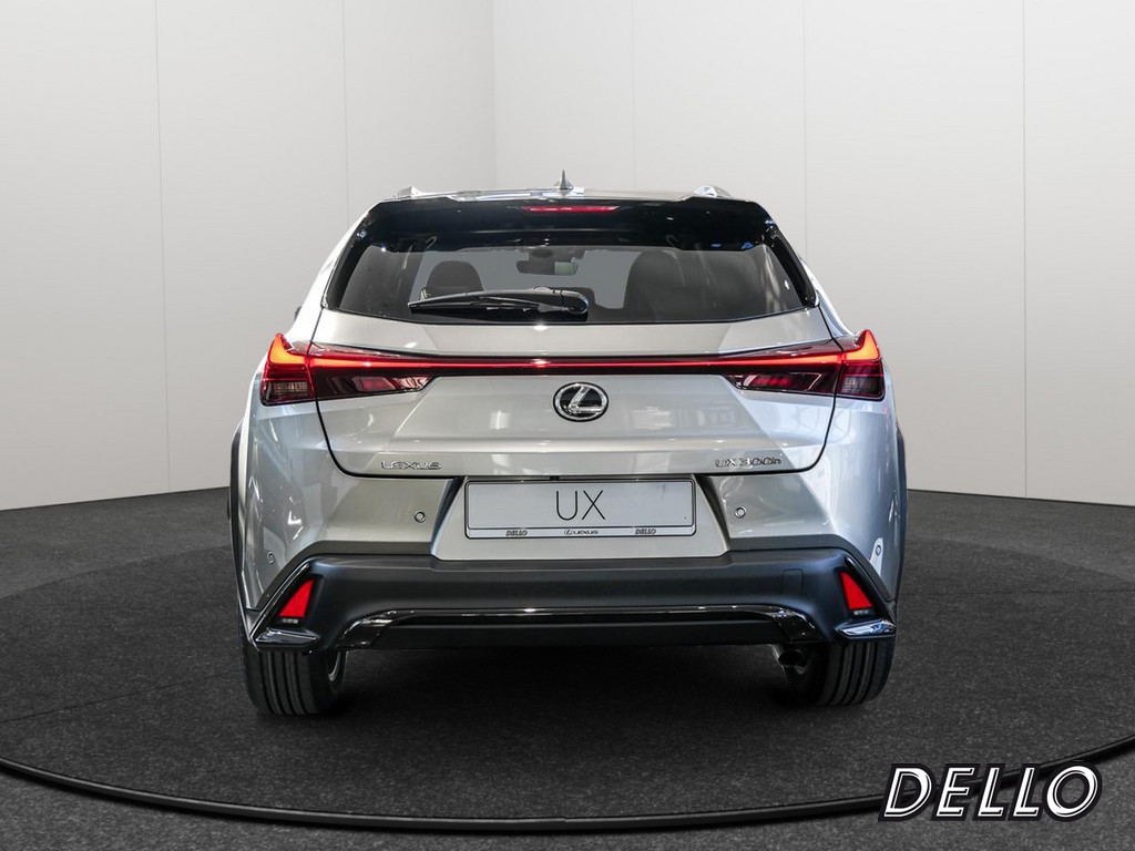 Fahrzeugansicht LEXUS UX 300h F Sport Des. - Bild 33