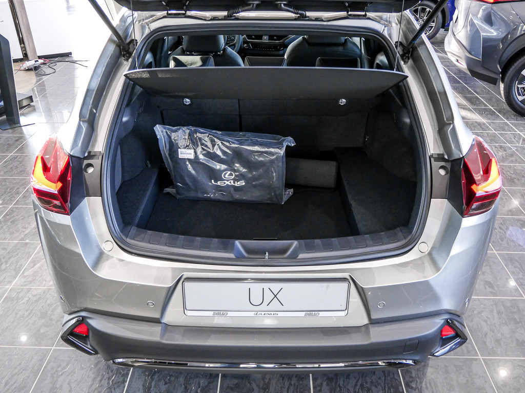 Fahrzeugansicht LEXUS UX 300h F Sport Des. - Bild 9