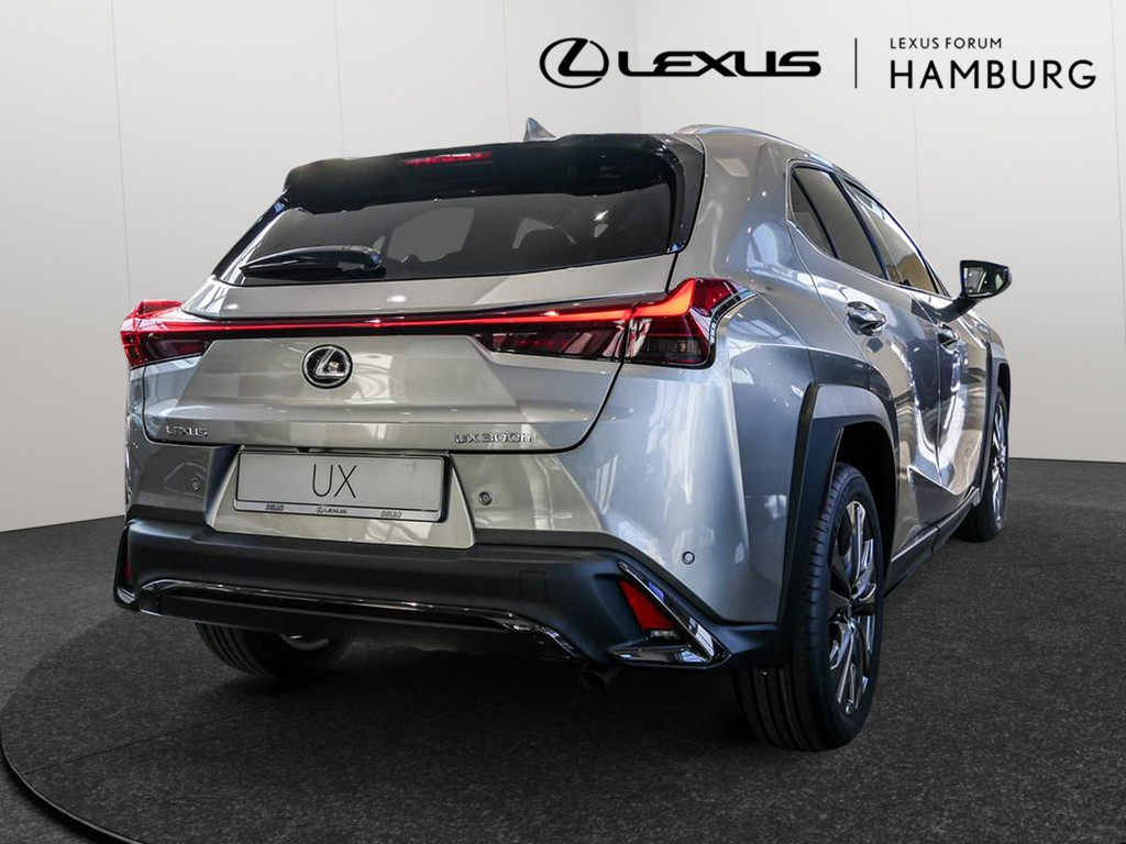Fahrzeugansicht LEXUS UX 300h F Sport Des. - Bild 32