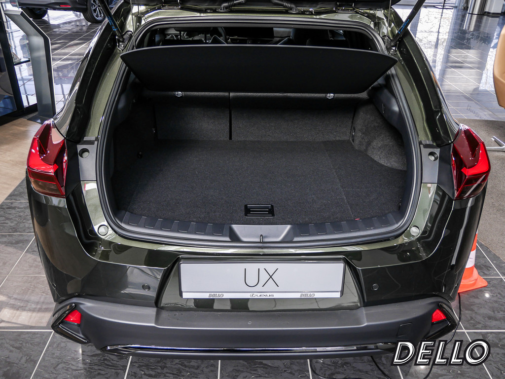 Fahrzeugansicht LEXUS UX 300h F-Sport Design - Bild 9