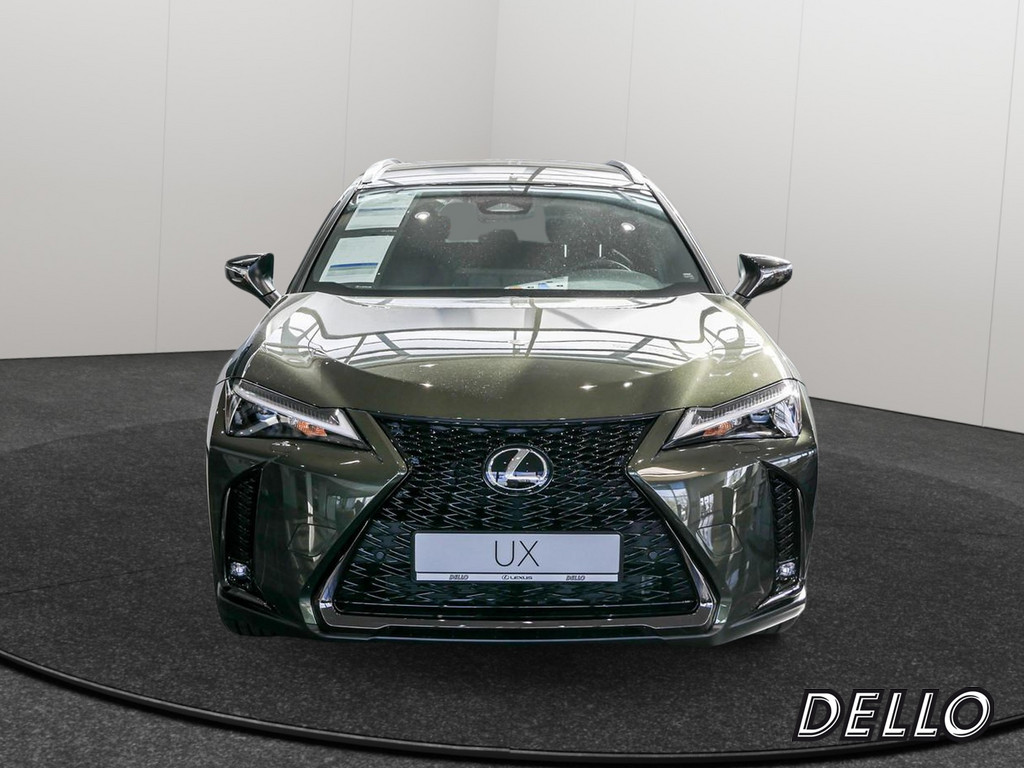 Fahrzeugansicht LEXUS UX 300h F-Sport Design - Bild 12