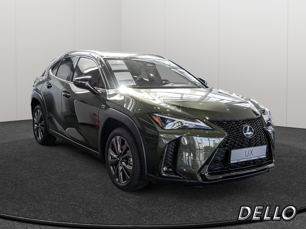 Fahrzeugansicht LEXUS UX 300h F-Sport Design - Bild 23