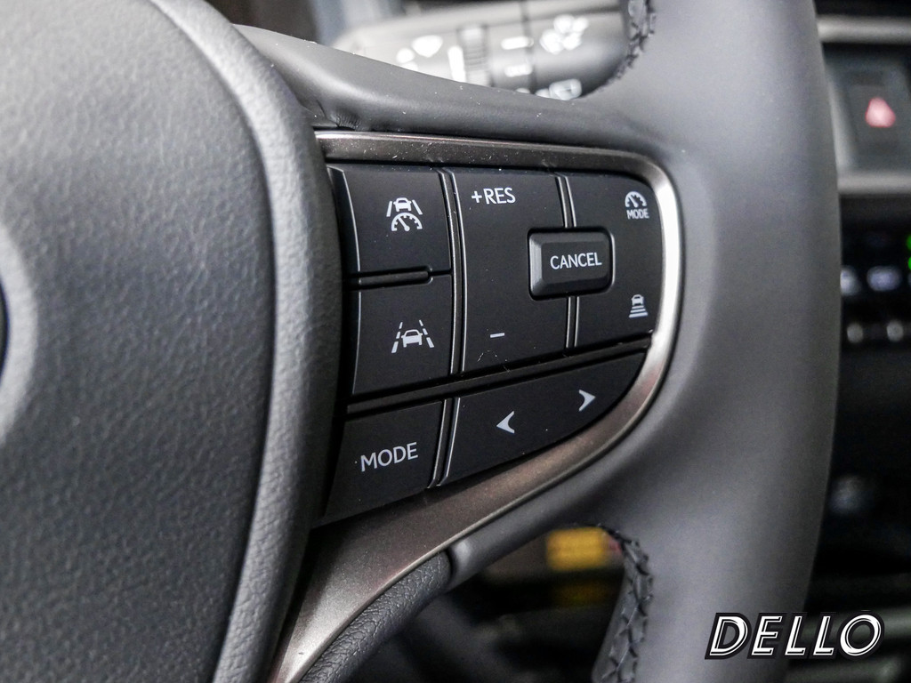 Fahrzeugansicht LEXUS UX 300h F-Sport Design - Bild 27