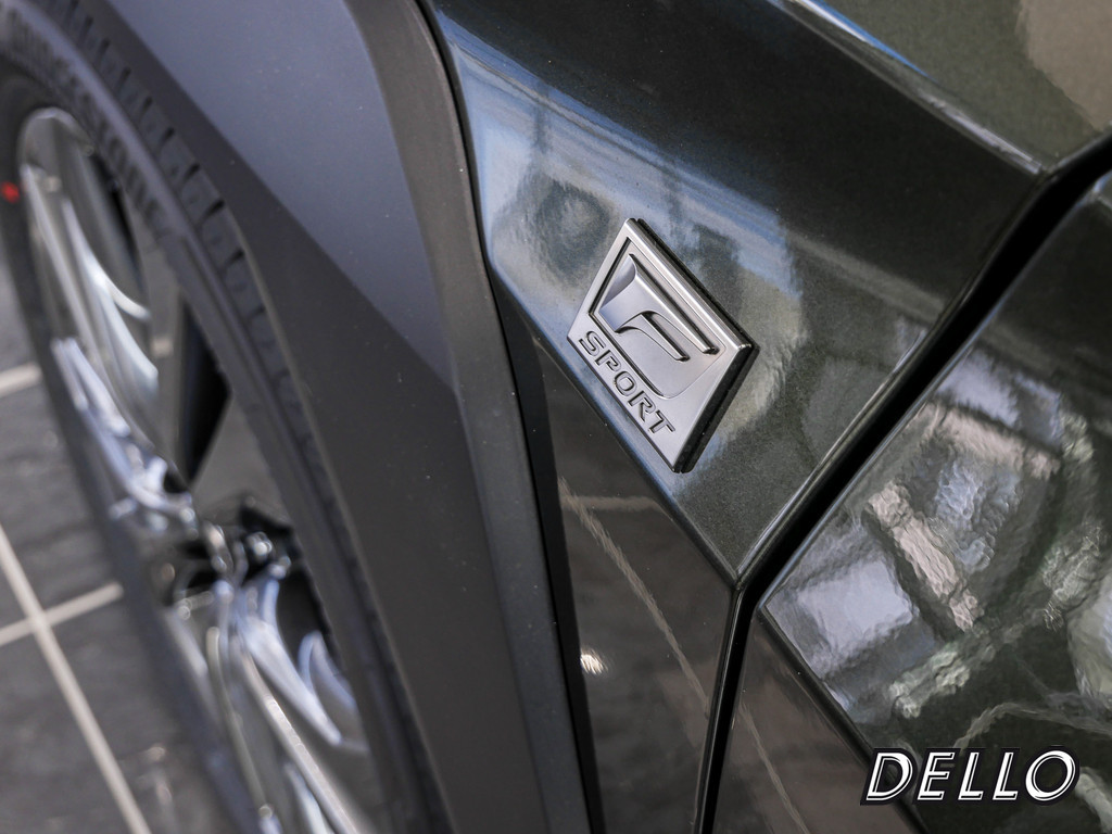 Fahrzeugansicht LEXUS UX 300h F-Sport Design - Bild 33