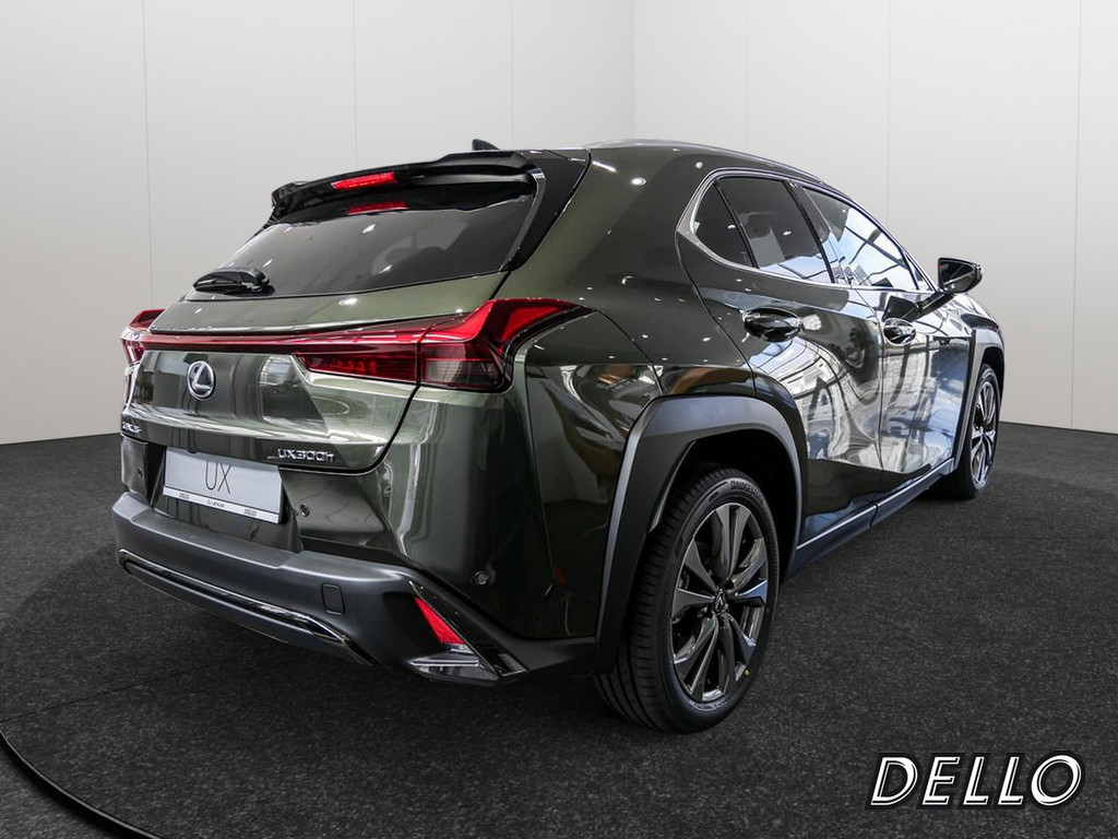 Fahrzeugansicht LEXUS UX 300h F-Sport Design - Bild 34