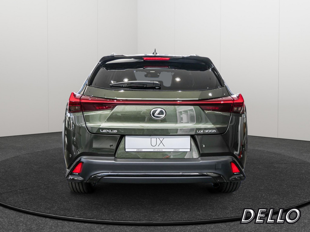 Fahrzeugansicht LEXUS UX 300h F-Sport Design - Bild 35