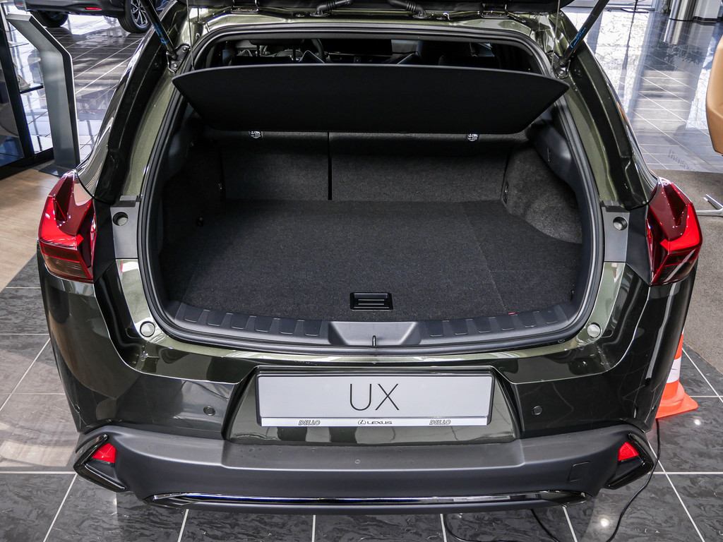 Fahrzeugansicht LEXUS UX 300h F-Sport Design - Bild 9