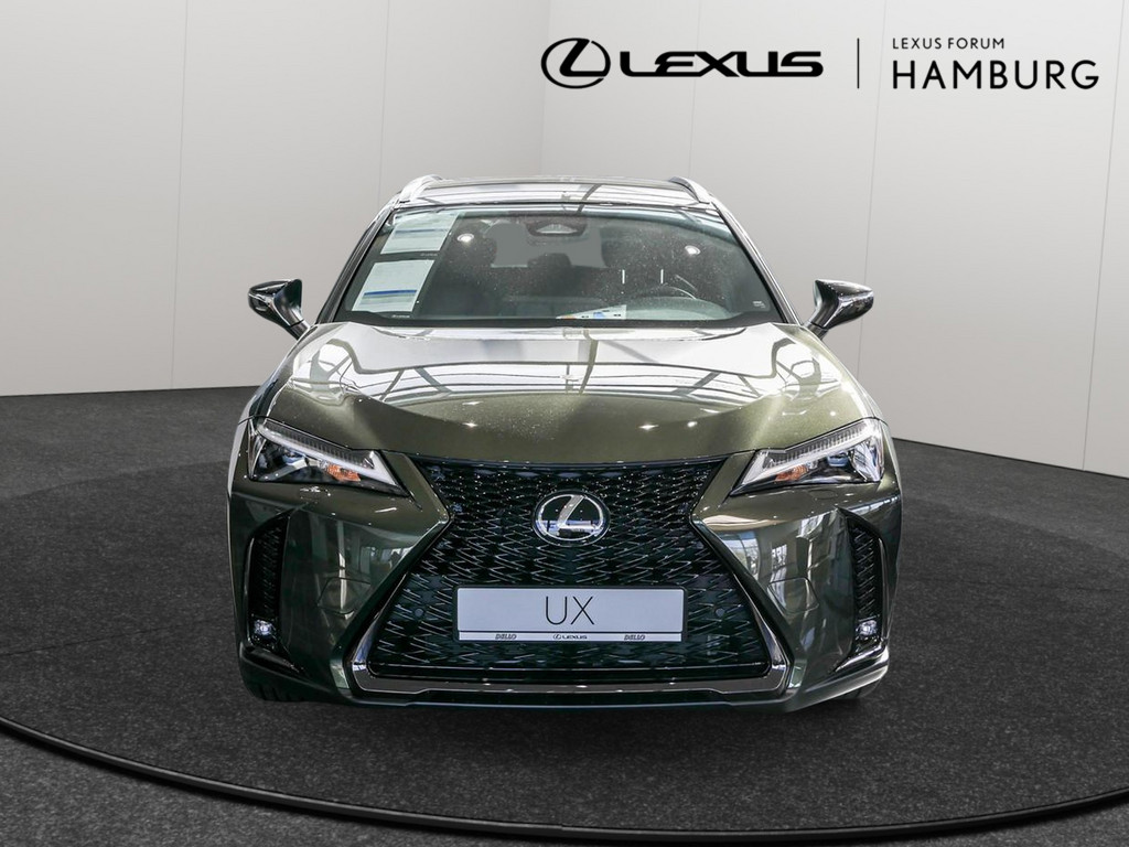 Fahrzeugansicht LEXUS UX 300h F-Sport Design - Bild 12