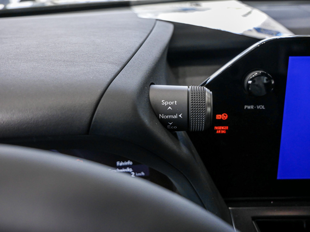 Fahrzeugansicht LEXUS UX 300h F-Sport Design - Bild 24