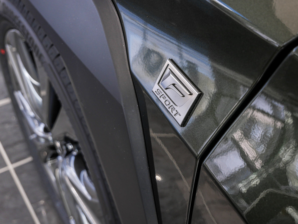 Fahrzeugansicht LEXUS UX 300h F-Sport Design - Bild 33