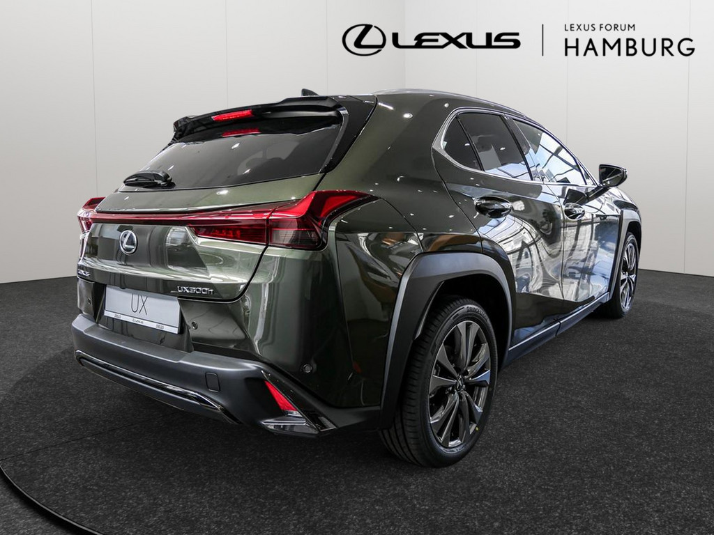 Fahrzeugansicht LEXUS UX 300h F-Sport Design - Bild 34