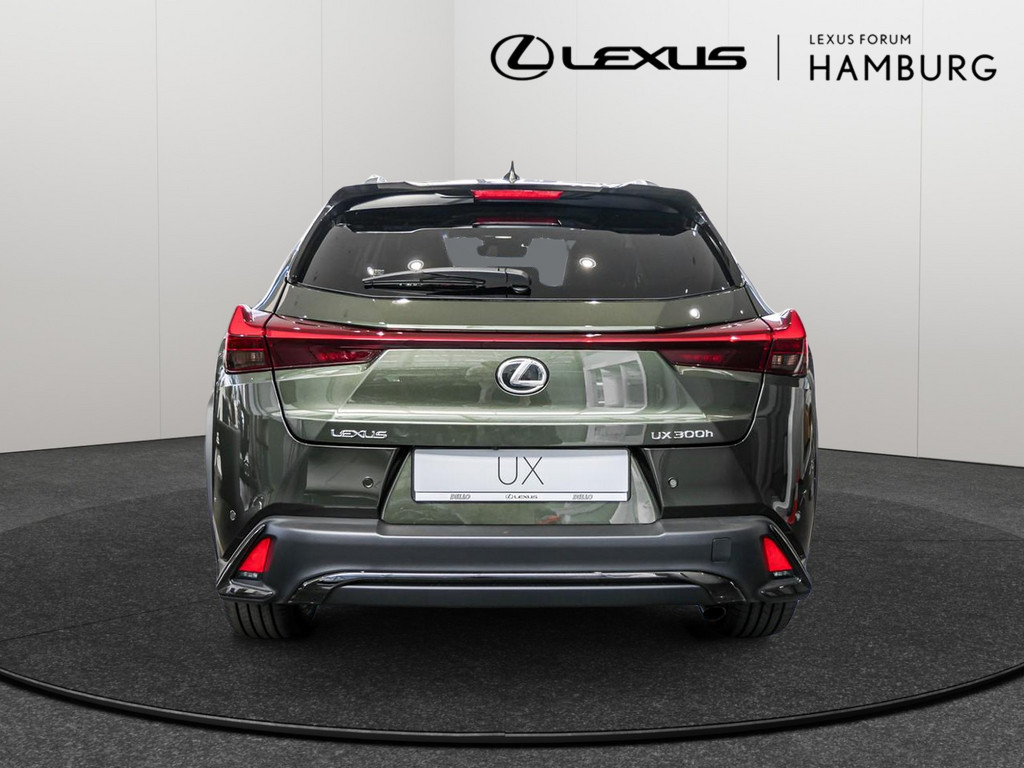 Fahrzeugansicht LEXUS UX 300h F-Sport Design - Bild 35