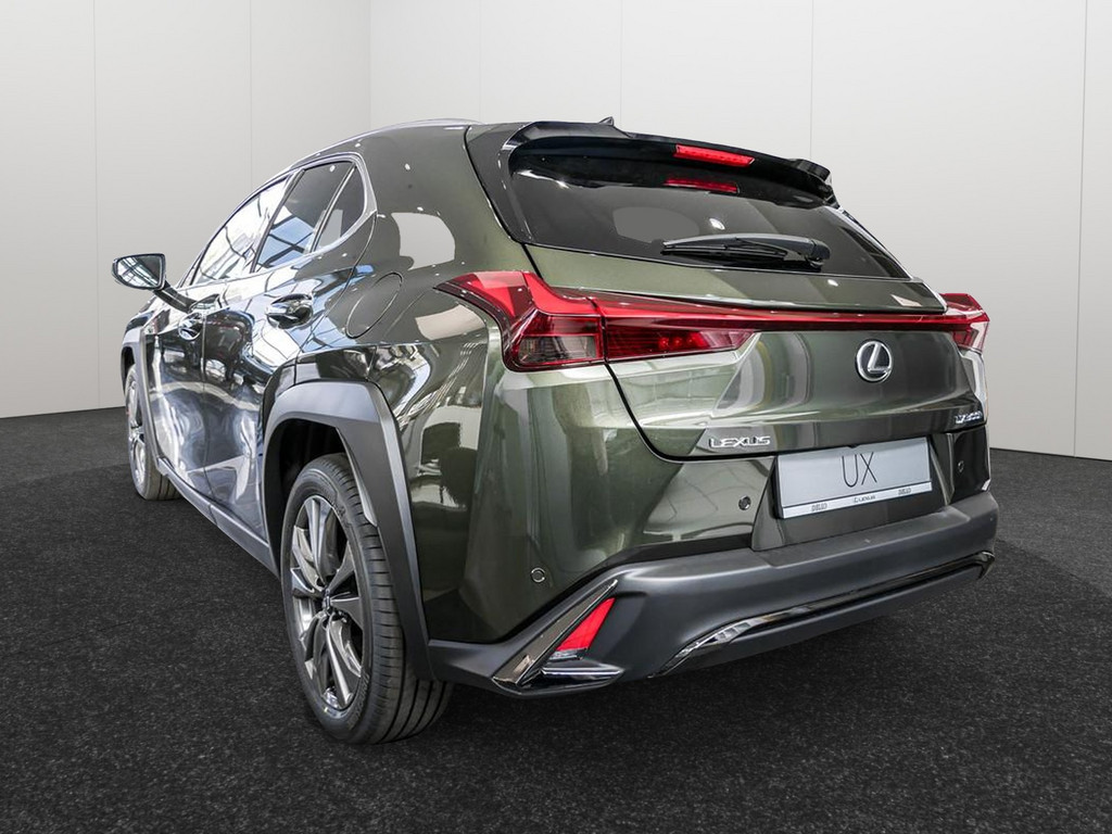 Fahrzeugansicht LEXUS UX 300h F-Sport Design - Bild 36
