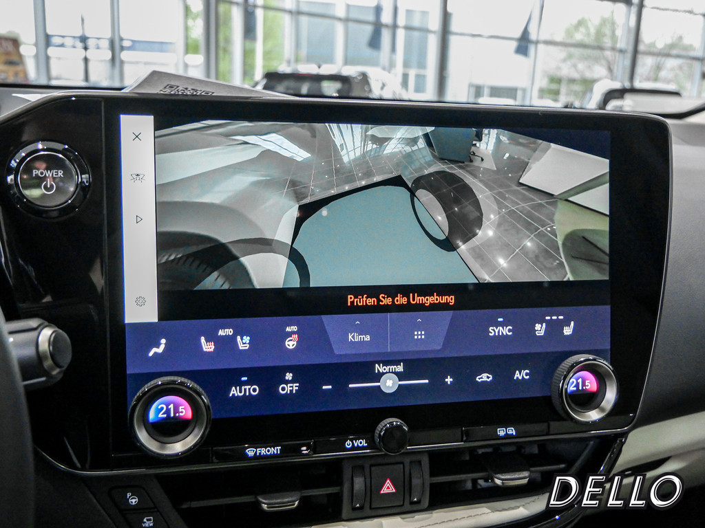 Fahrzeugansicht LEXUS NX 450h + Luxury - Bild 16