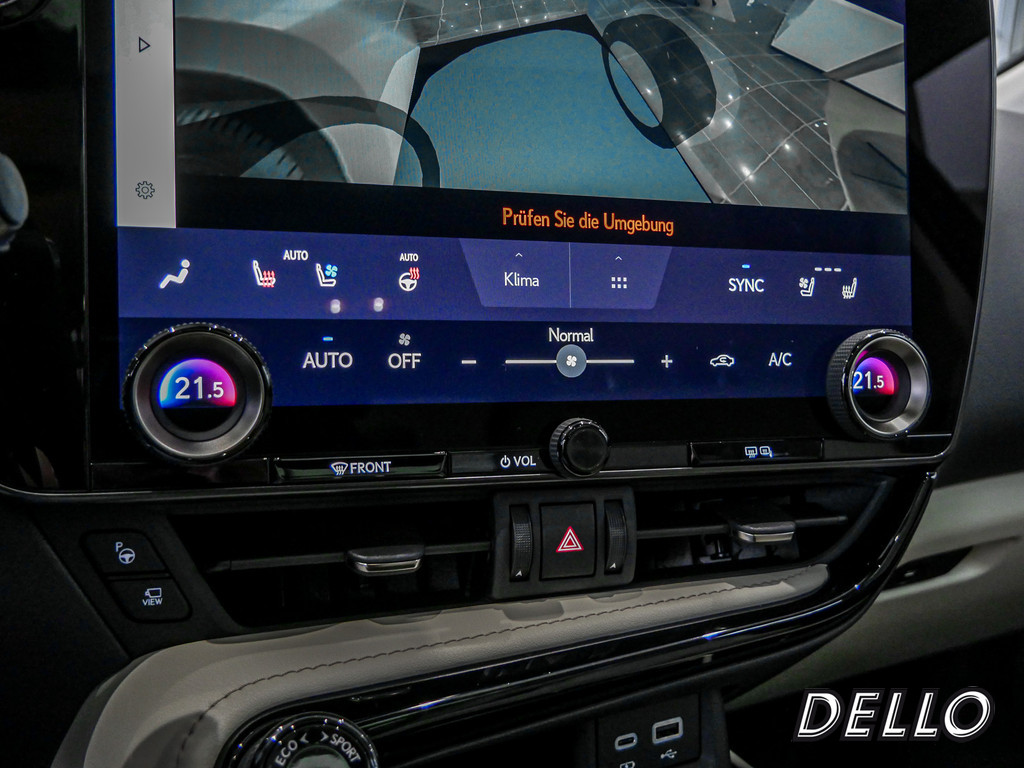 Fahrzeugansicht LEXUS NX 450h + Luxury - Bild 17