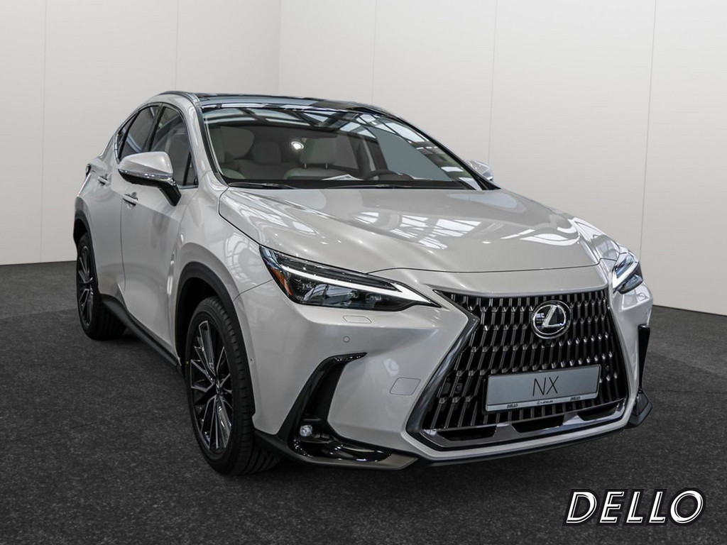 Fahrzeugansicht LEXUS NX 450h + Luxury - Bild 23