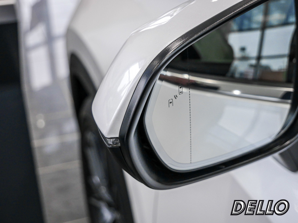 Fahrzeugansicht LEXUS NX 450h + Luxury - Bild 39