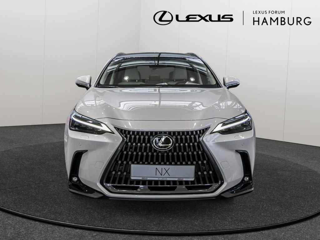 Fahrzeugansicht LEXUS NX 450h + Luxury - Bild 12