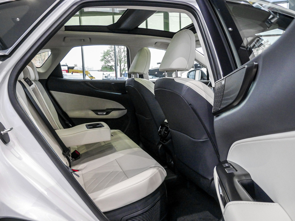 Fahrzeugansicht LEXUS NX 450h + Luxury - Bild 3