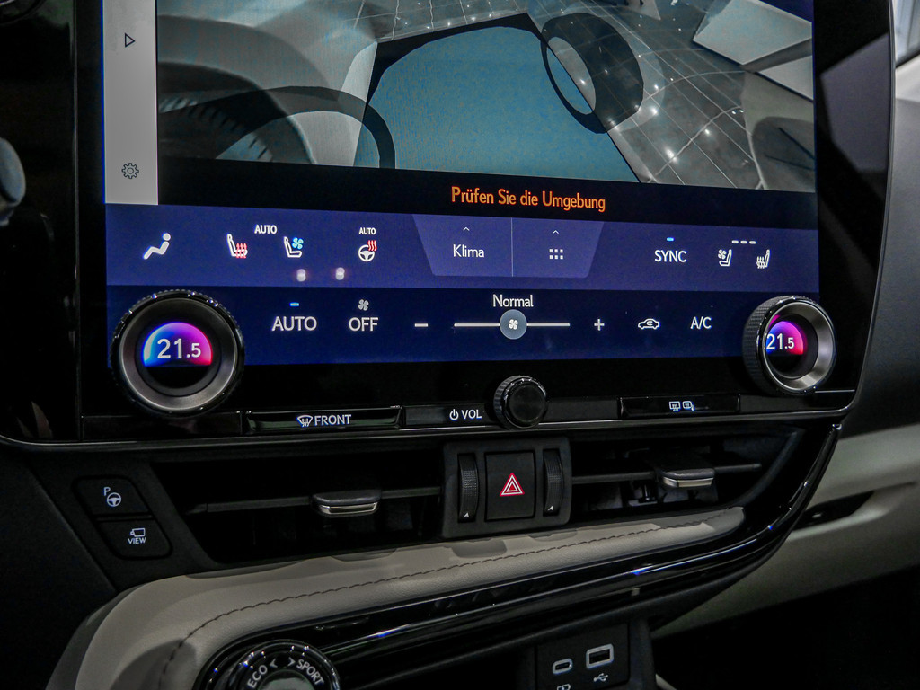 Fahrzeugansicht LEXUS NX 450h + Luxury - Bild 17